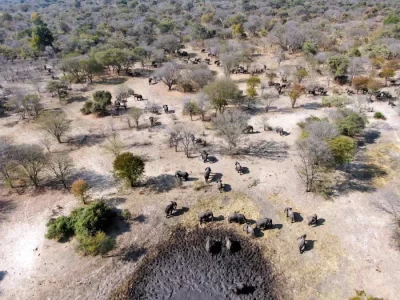 KAZA Elephant Survey begins