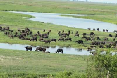 KAZA TFCA joins the global community in commemorating World Wetlands Day