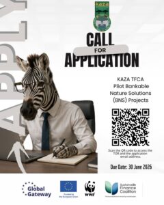 Call for Applications- Pilot Bankable Nature Solutions (BNS) Projects